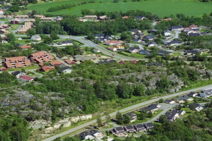 Bilde av Kastetskogen